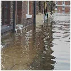 Hollywood Restoration Expert Hollywood, FL 954-414-0630 Hollywood Restoration Expert Hollywood, FL 954-414-0630 - side-flood-damage-wgr-1