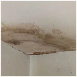 Hollywood Restoration Expert Hollywood, FL 954-414-0630 Hollywood Restoration Expert Hollywood, FL 954-414-0630 - side-water-leaks-wgr-1